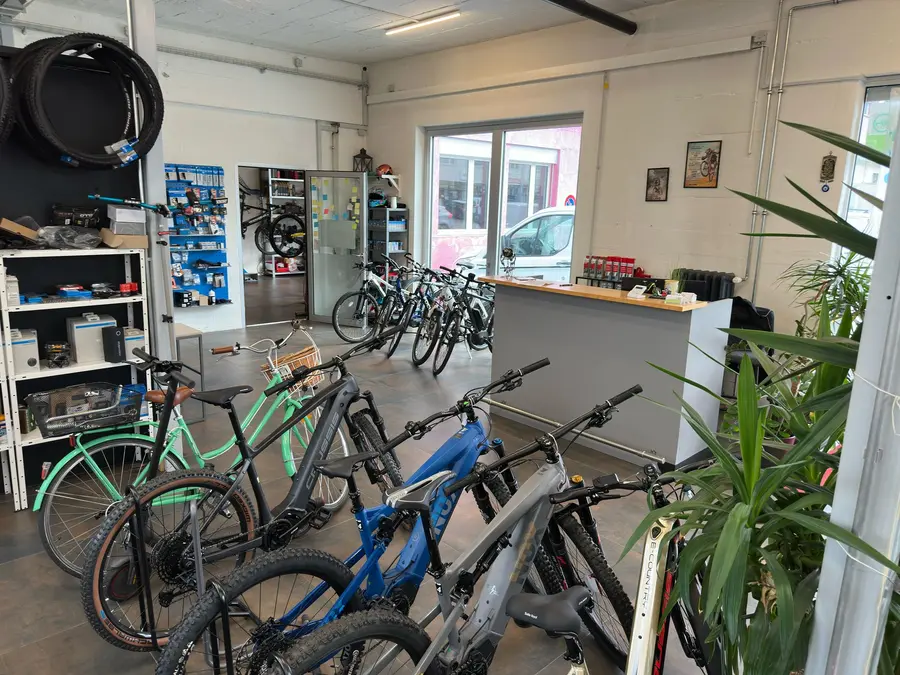 Ankauf bei E.H. Velo